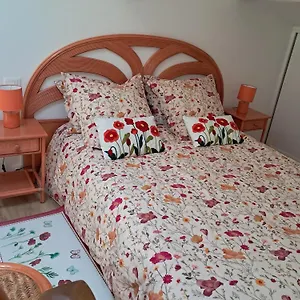 Les Coquelicots. Mirepoix (Ariege)